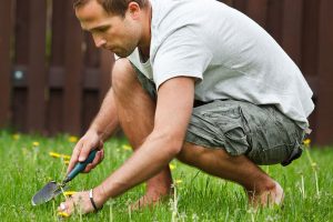 lawn-repair lawn-repair